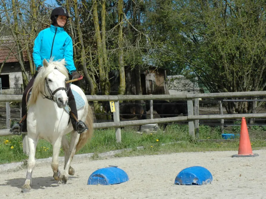 Cours adulte équitation Ecuries des Pious