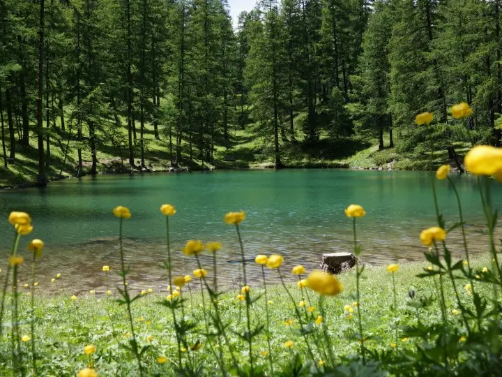 Lac du Pré du Laus