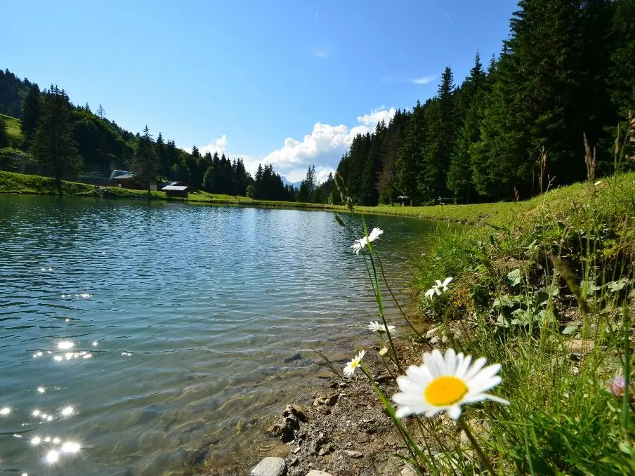 Lac du Plan Dessert à Notre Dame de Bellecombe