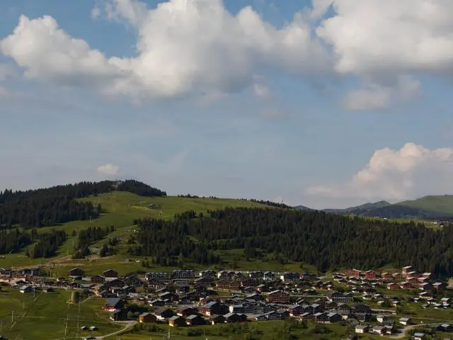 Chard du Beurre - Beaufortain