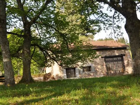 Aire de pique-nique de l'Arboretum