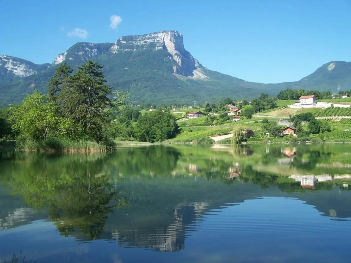 Vignoble et lac St André