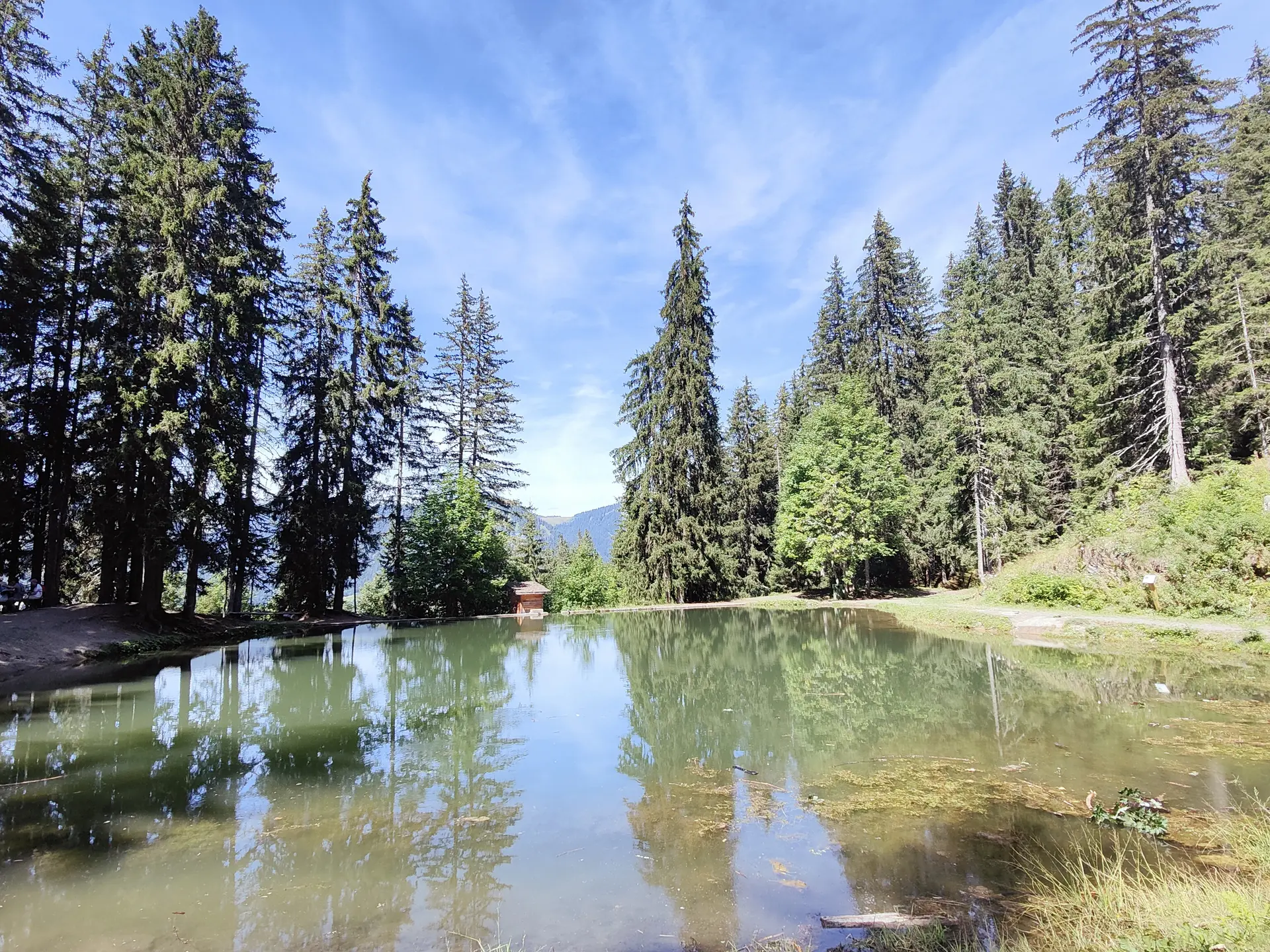 Lac de pêche et de promenade