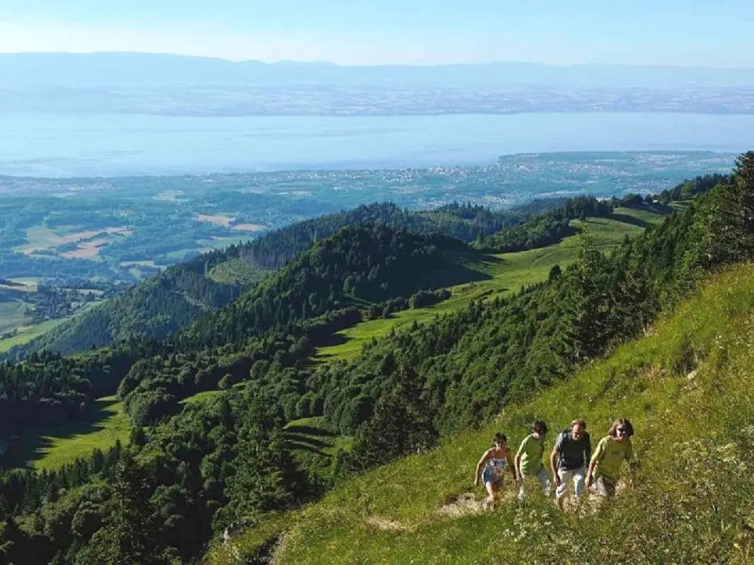 Montée du Mont Forchat