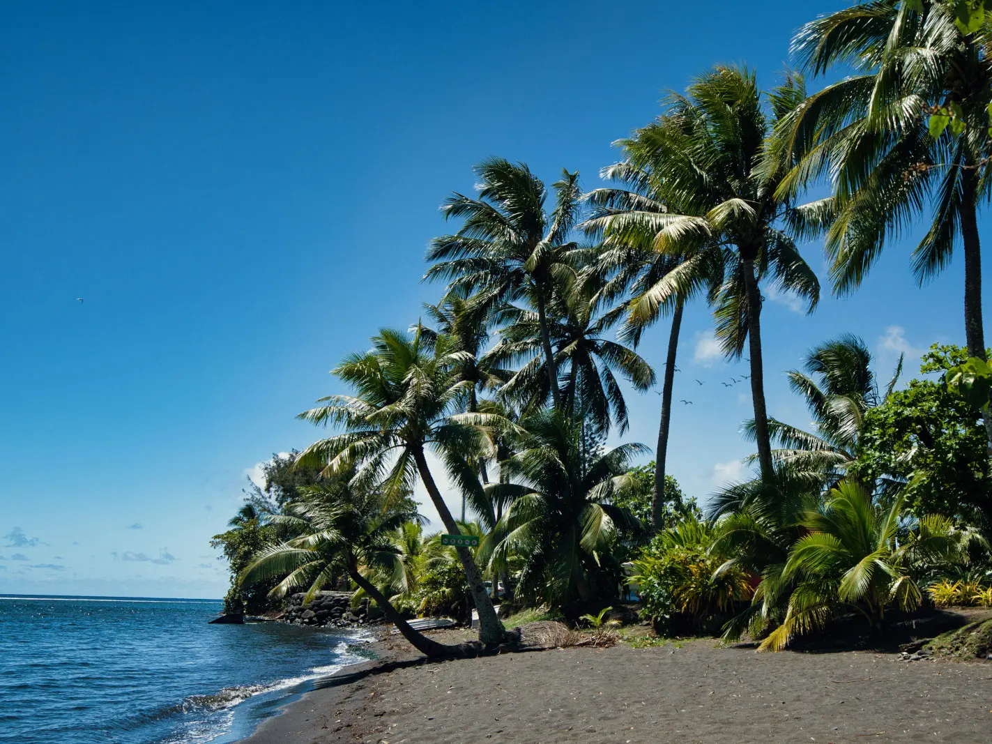 Tahiti   Pointe Tautira paysage