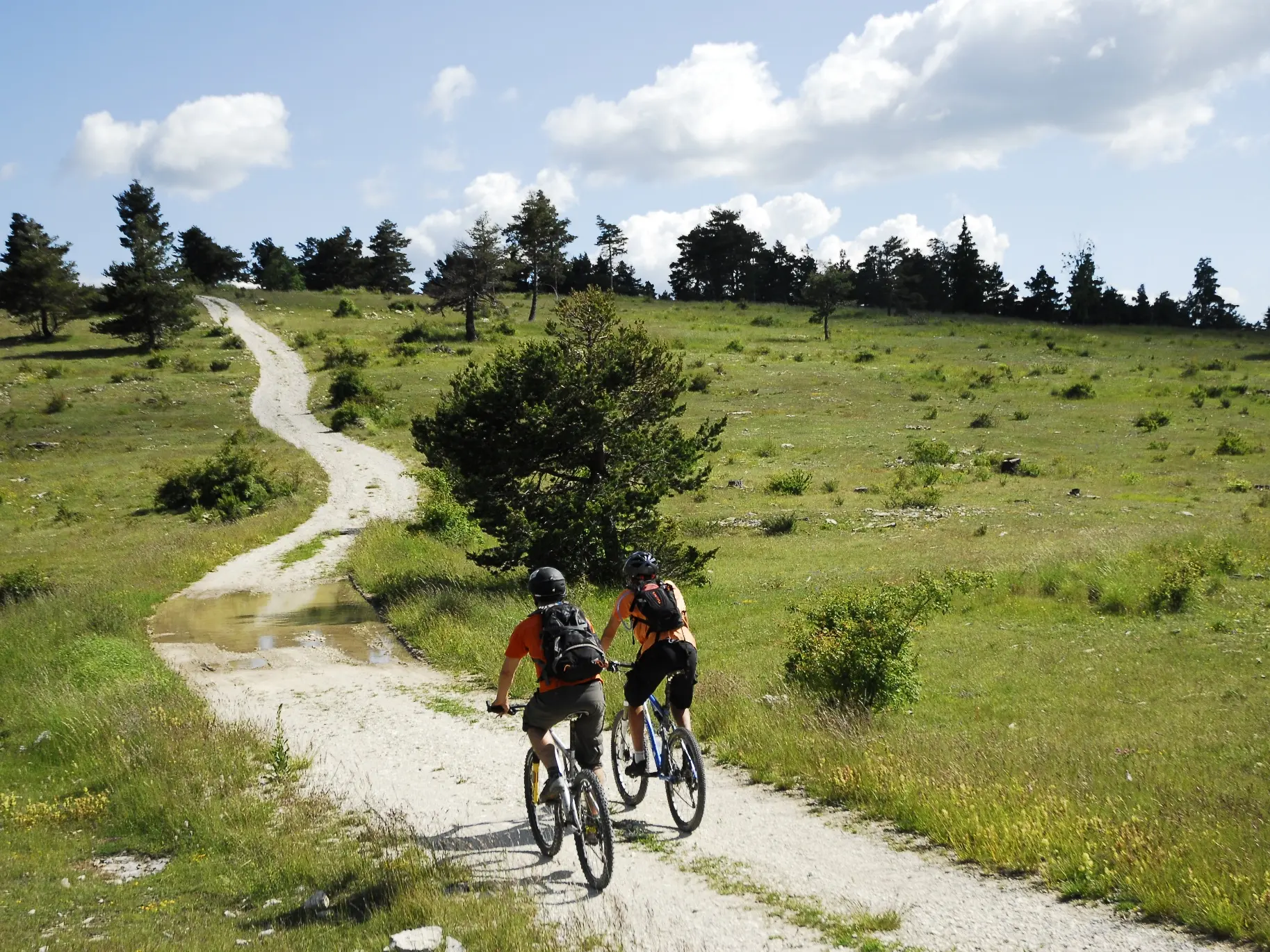 Sur la Montagne de Maurel