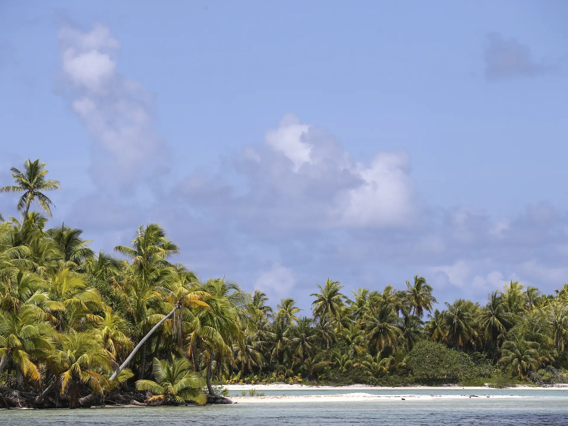 Le Lagon Bleu De Rangiroa