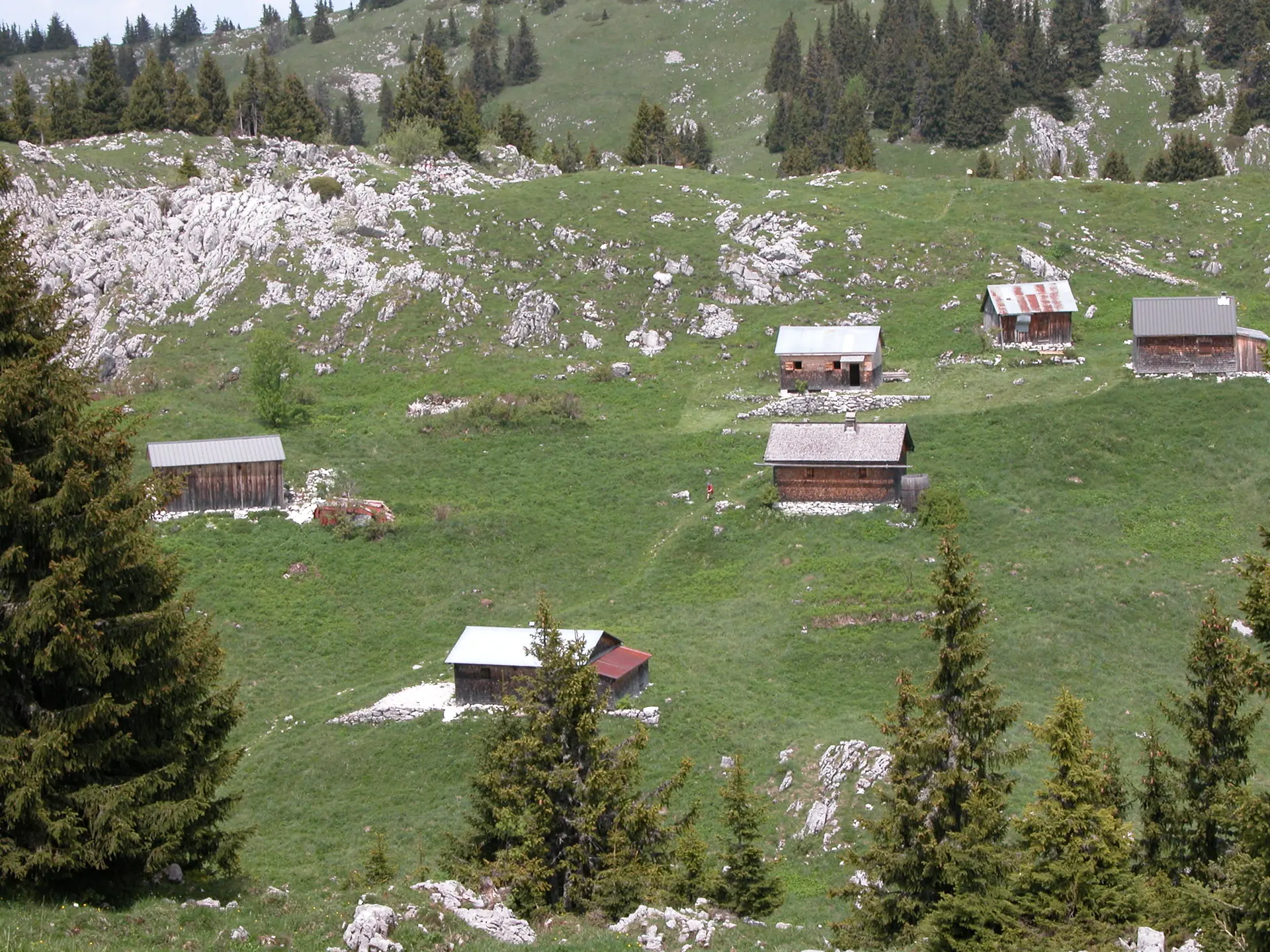 Alpage de Nifflon et ses chalets