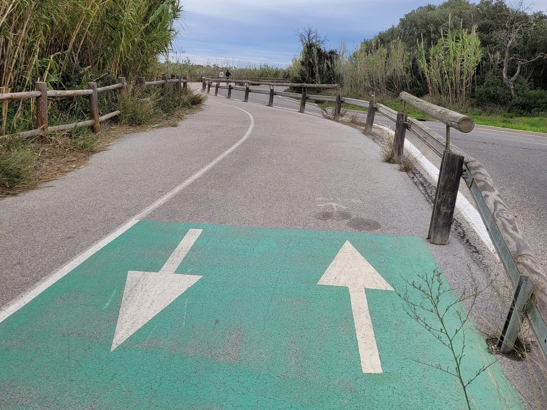 Piste cyclable avec vue sur la mer entourée de champs de bambous