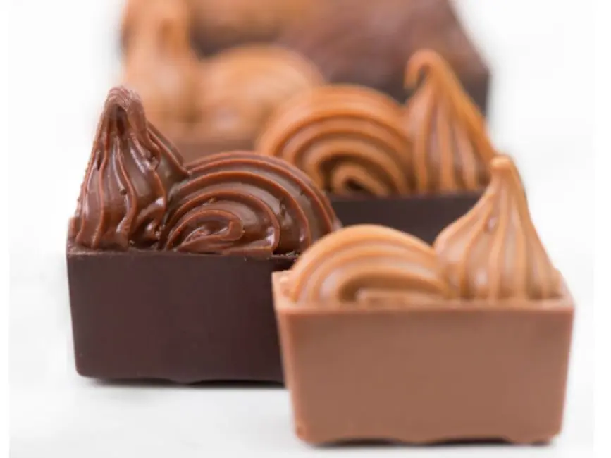 Chocolats Puyricard