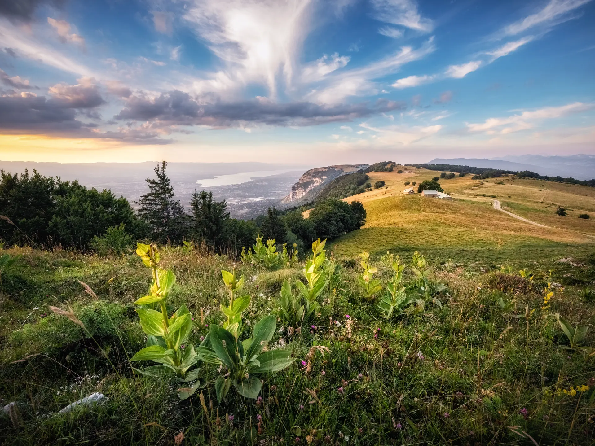 photo sommet Salève