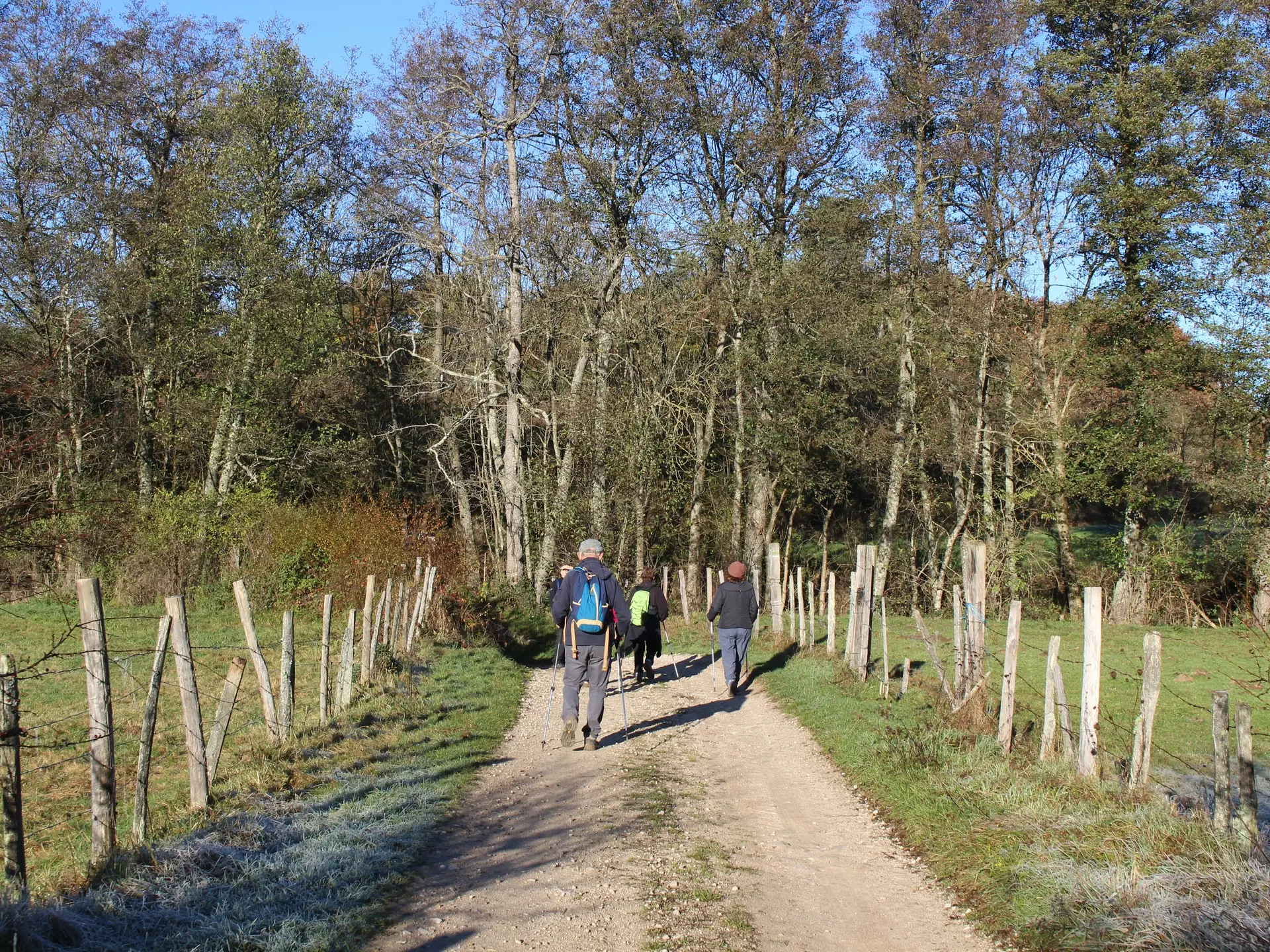 Randonnée à Périgneux