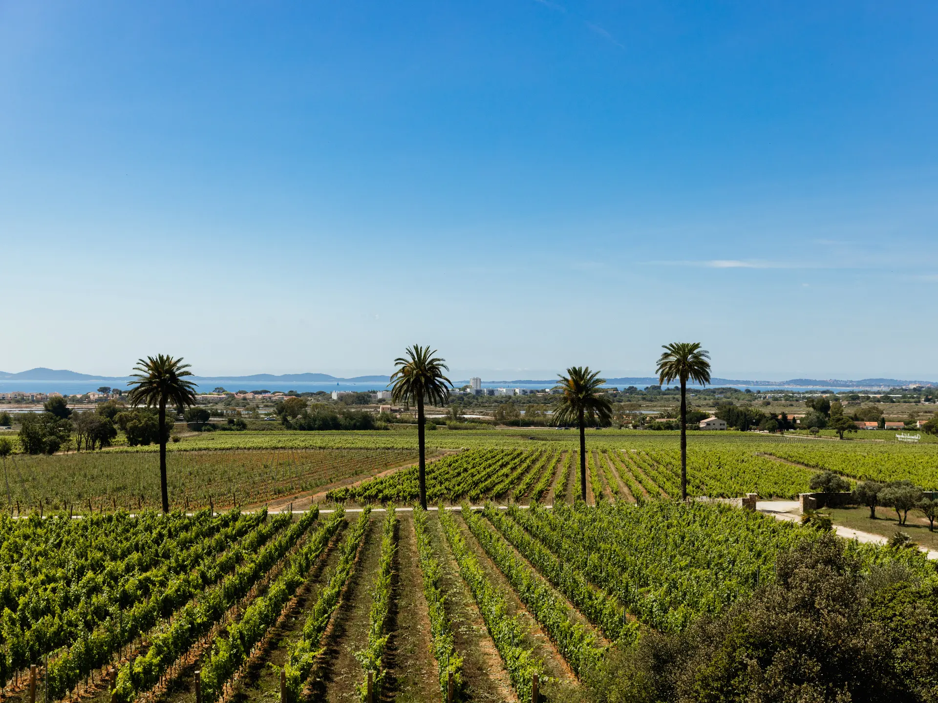 Parcours d'initiation au Château Galoupet à la Londe les Maures