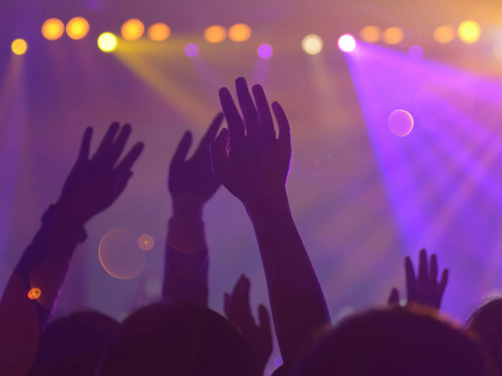 Concert