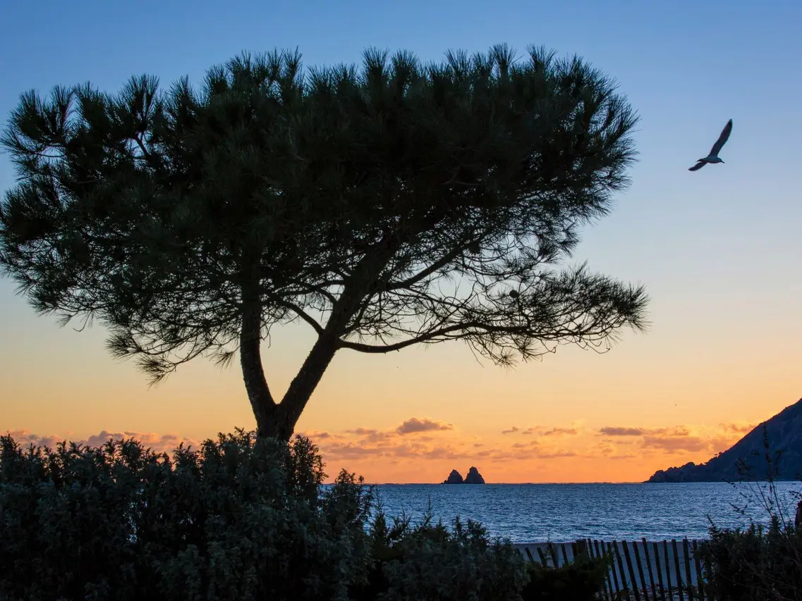 Coucher de soleil parc Fernand Braudel