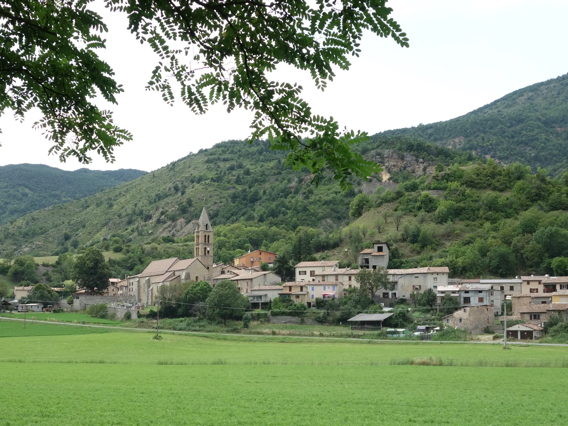 Bayons