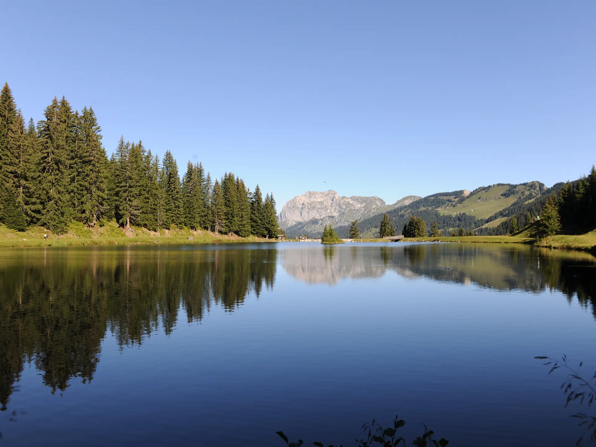 Vue sur le calme Lac de la Mouille, lac en altitude au milieu de la forêt