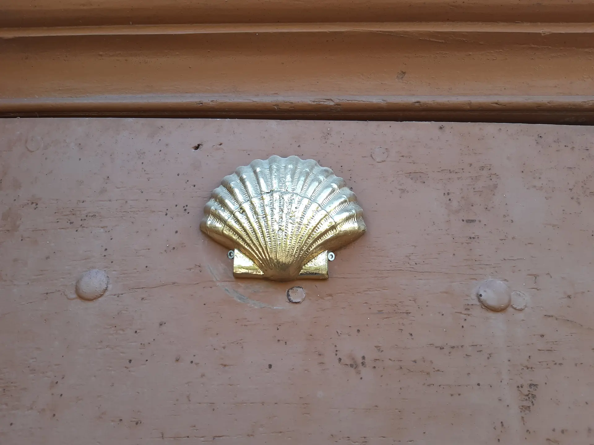 Coquille St Jacques halte jacqaire
