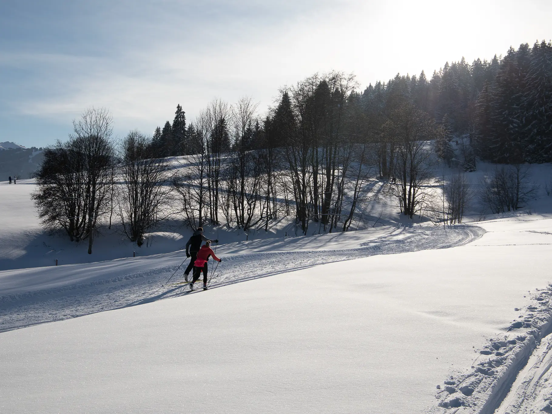 couple ski de fond