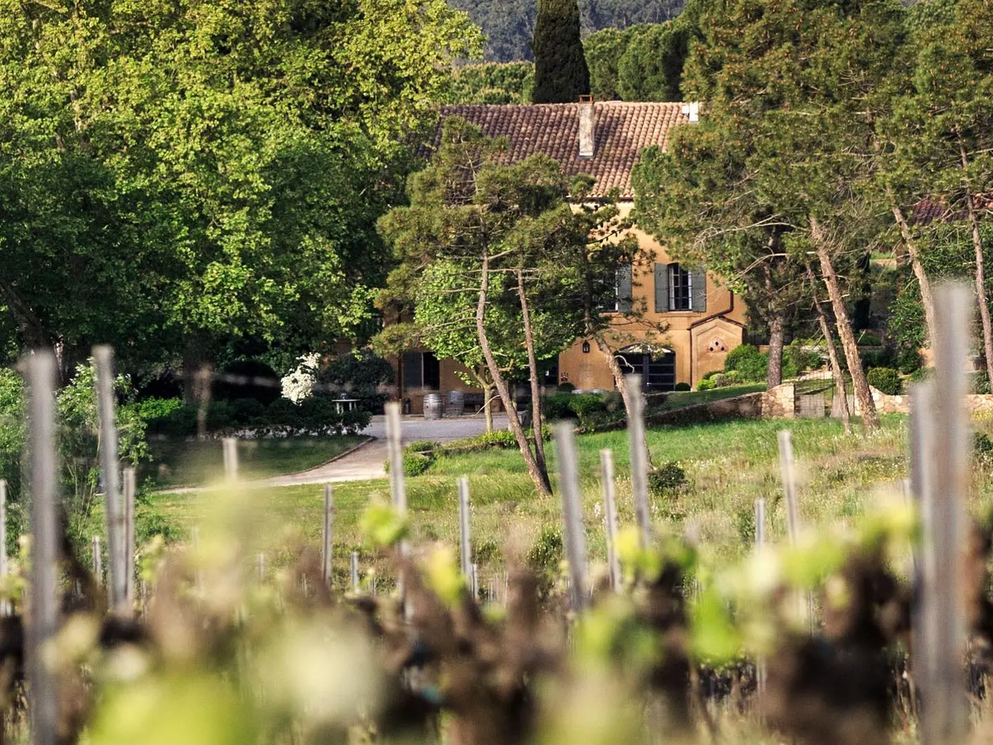 vue depuis les vignes