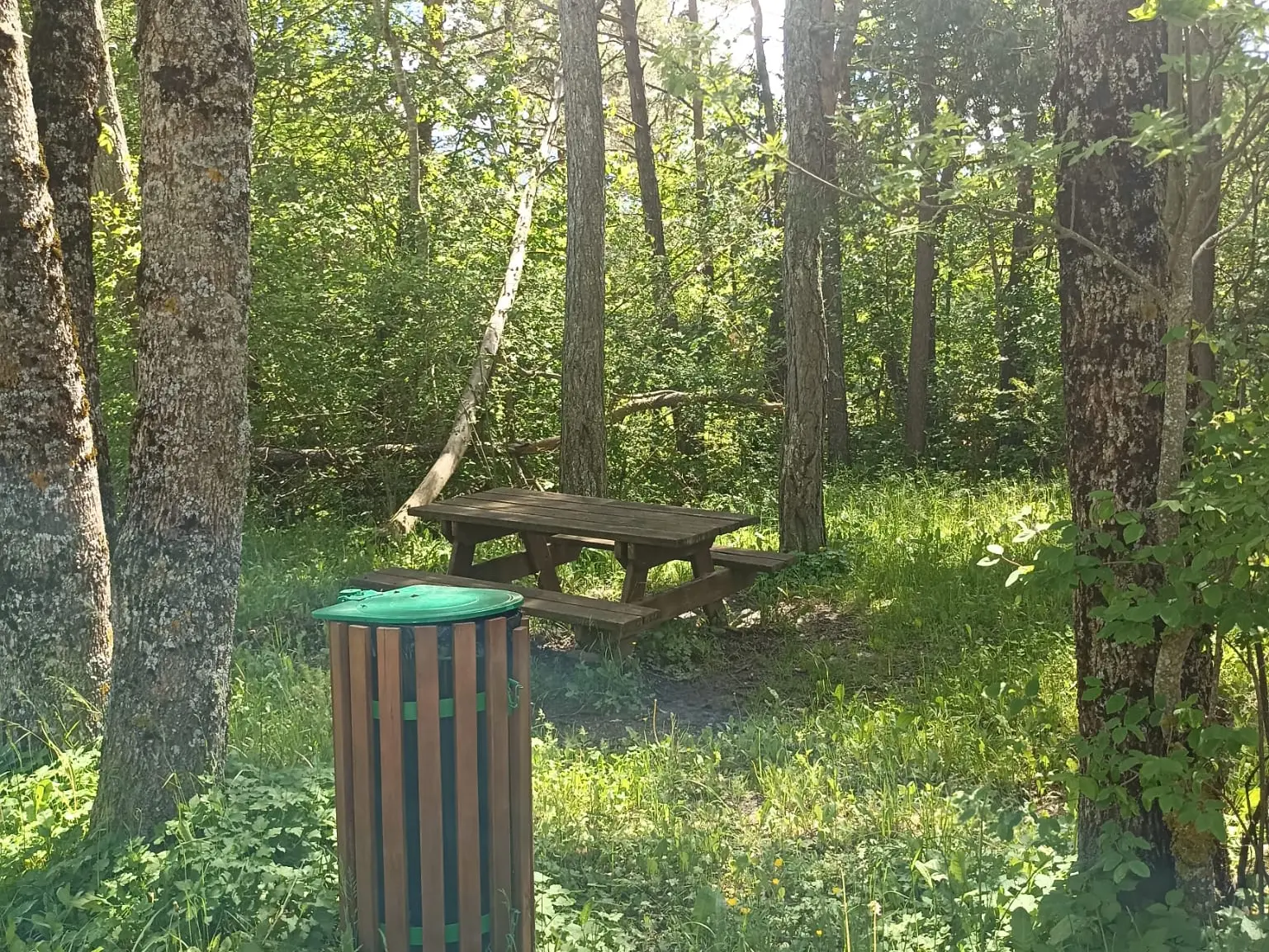 Aire de pique-nique à proximité de Selonnet