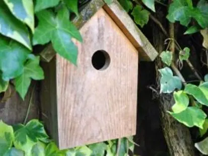 Les ateliers du jardin : Fabrication d'un nichoir à mésanges_Allex