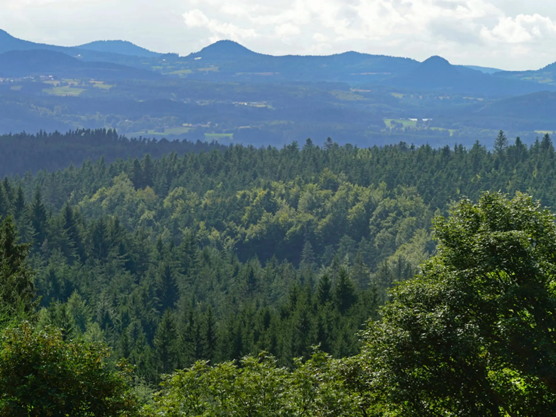 Vue sur les sucs depuis le Mas-de-Tence