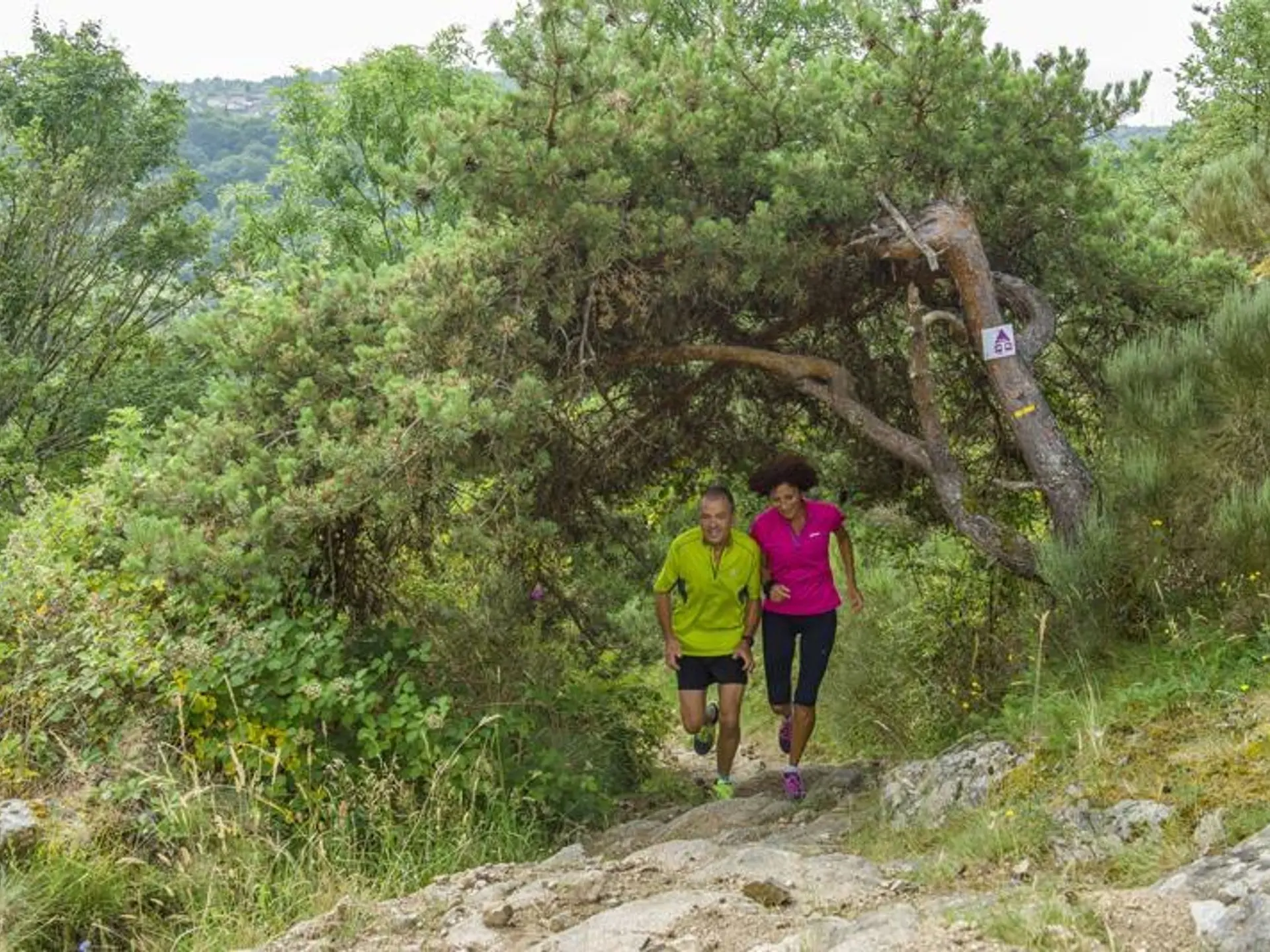 Sur les hauts chemins