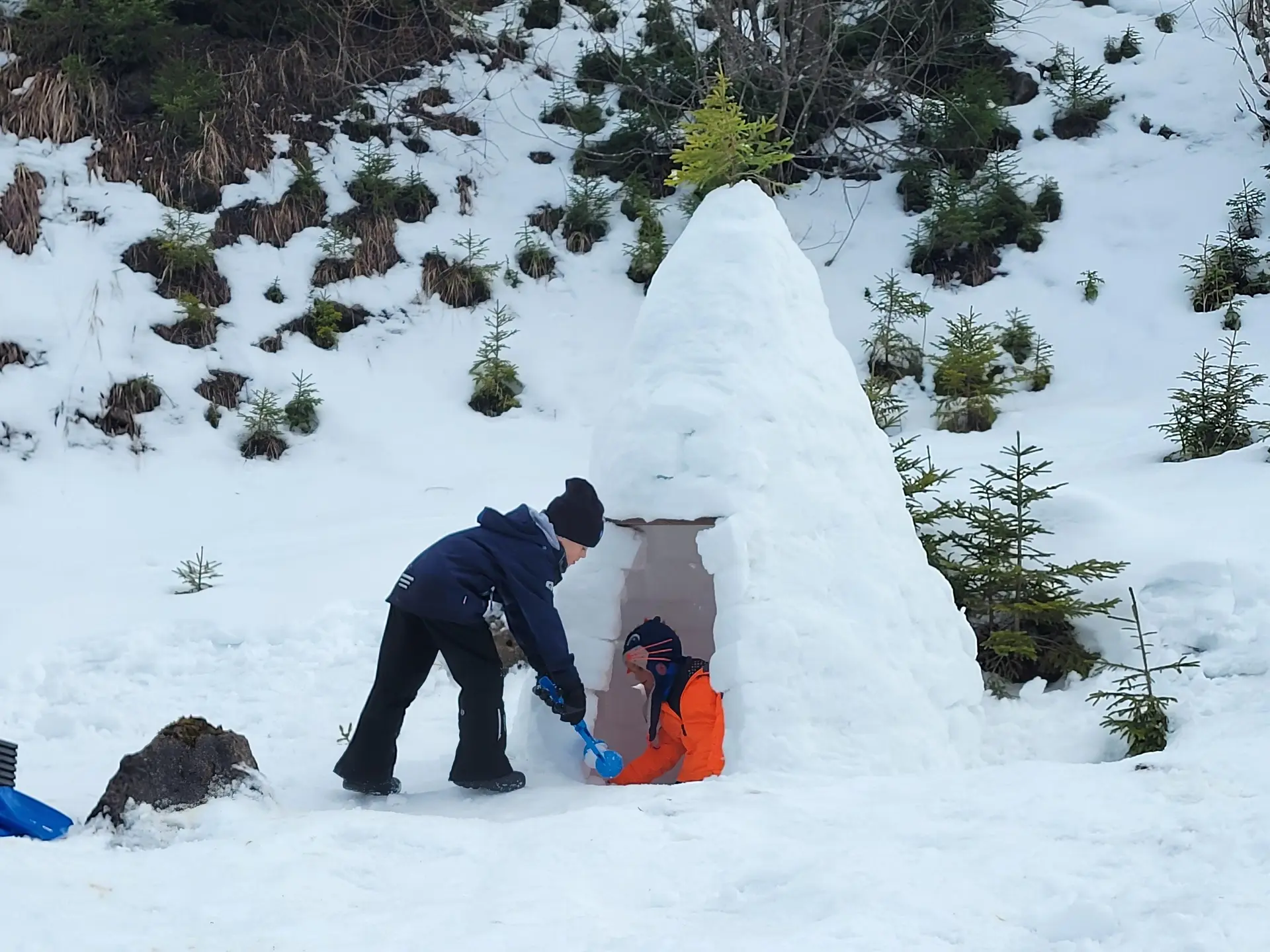 Atelier construction d'un igloo