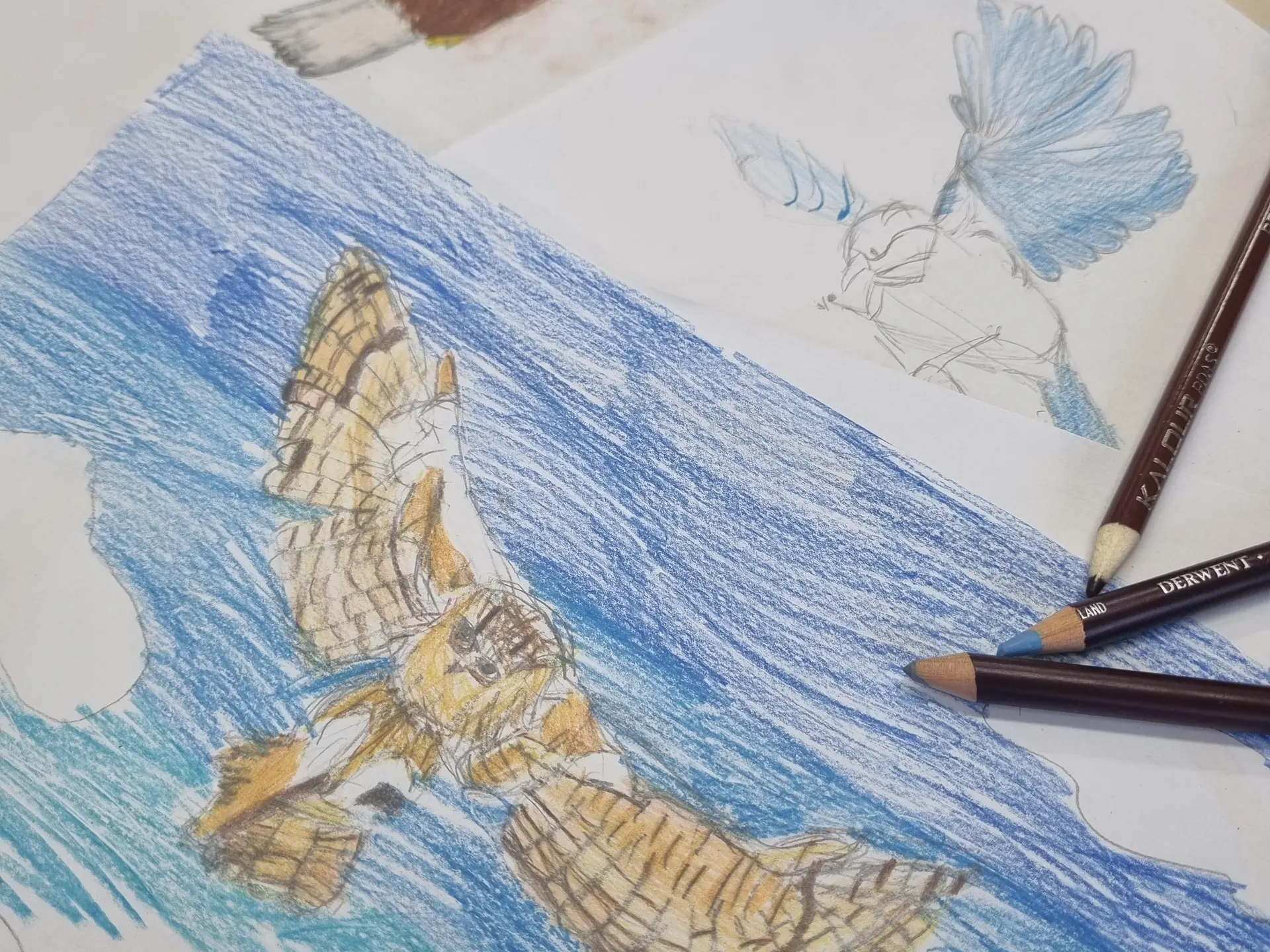 Atelier Dessine ton animal version Manga ou Kawaï