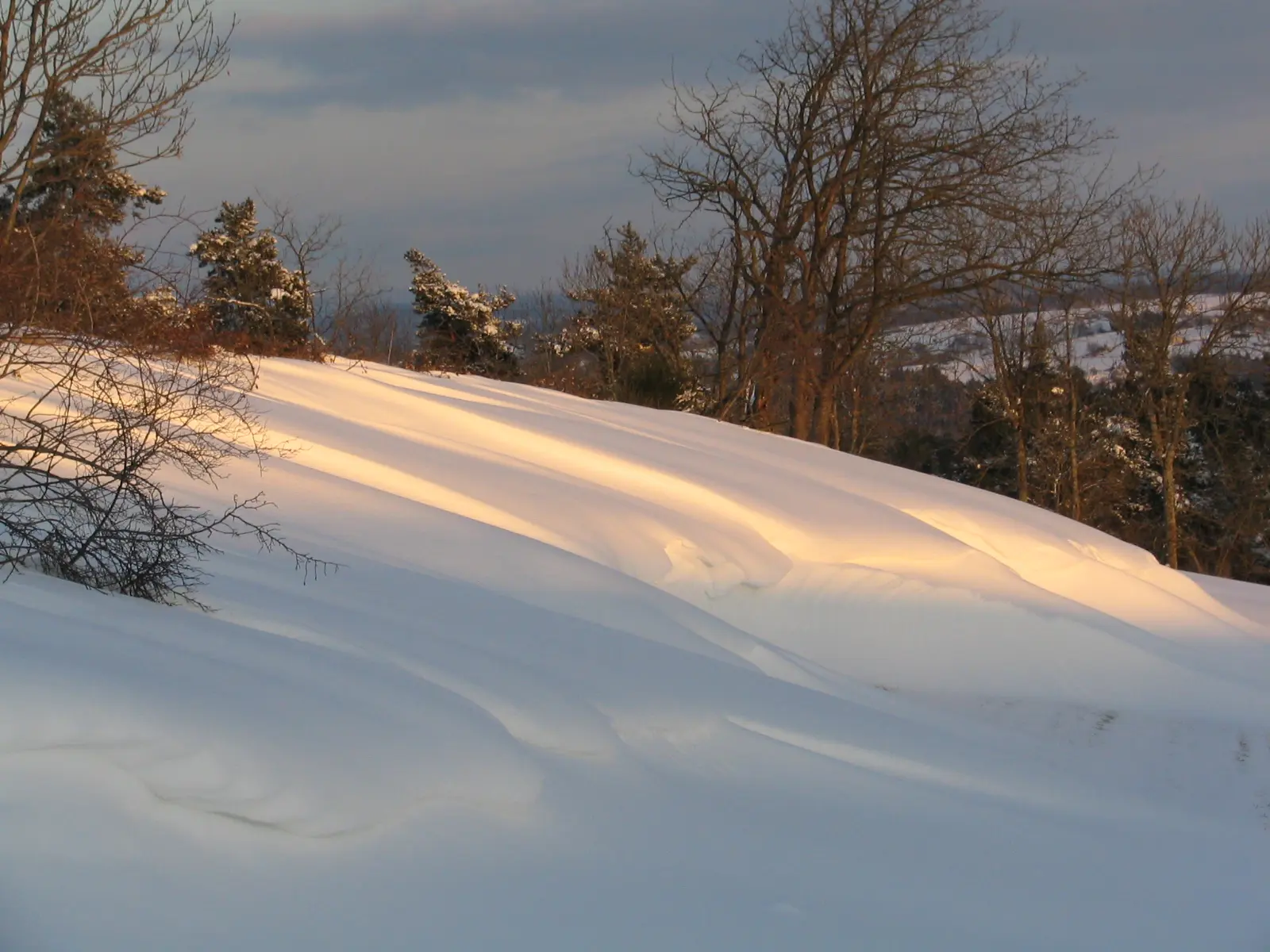 Paysage d'hiver