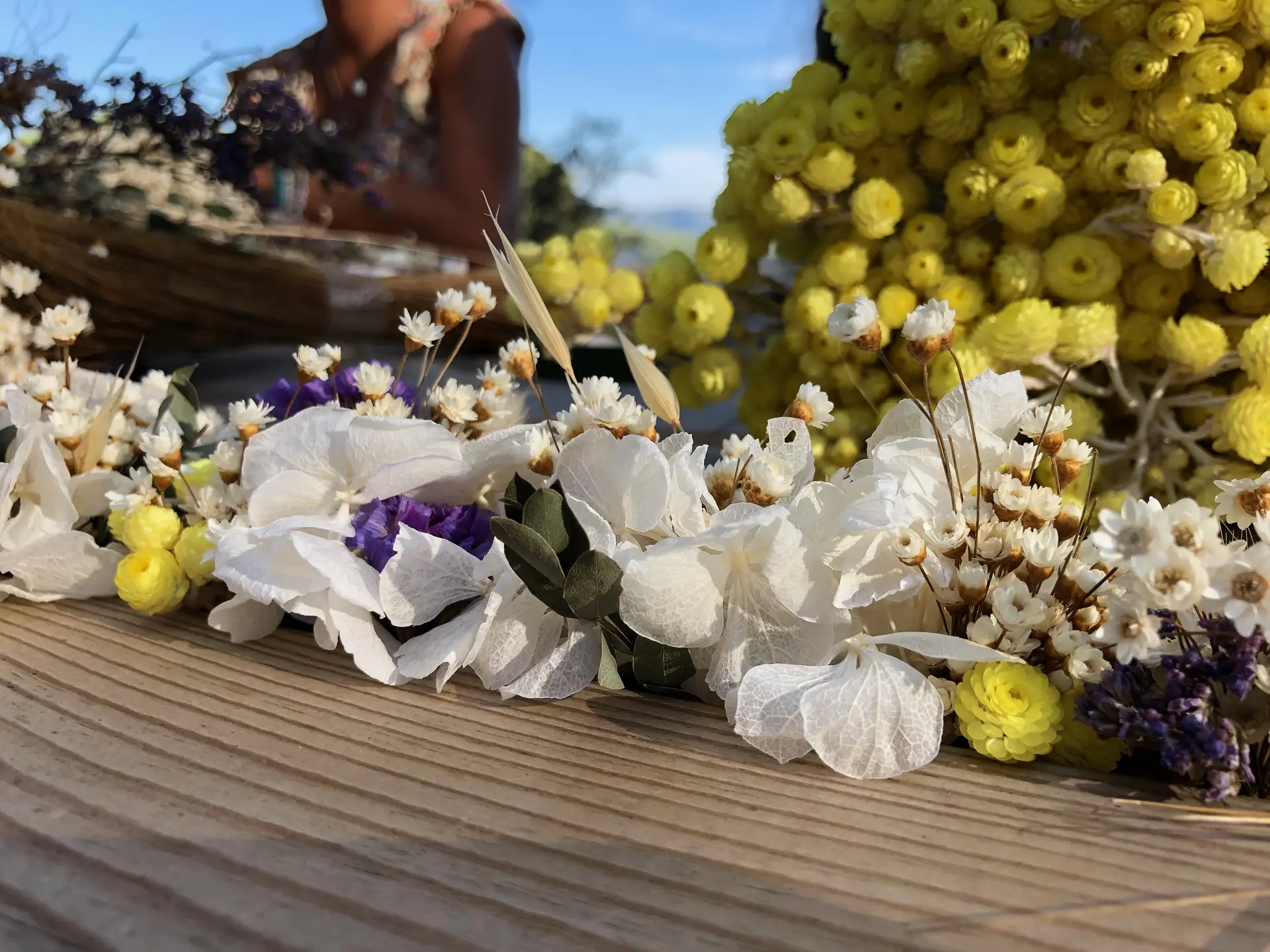 Société Paul Ricard