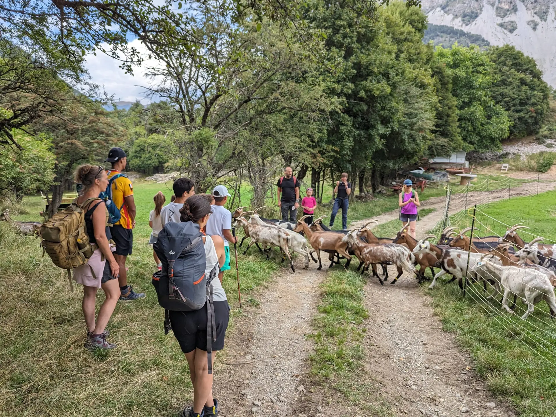 randonnée à la chèvrerie de Prads-Haute-Bléone
