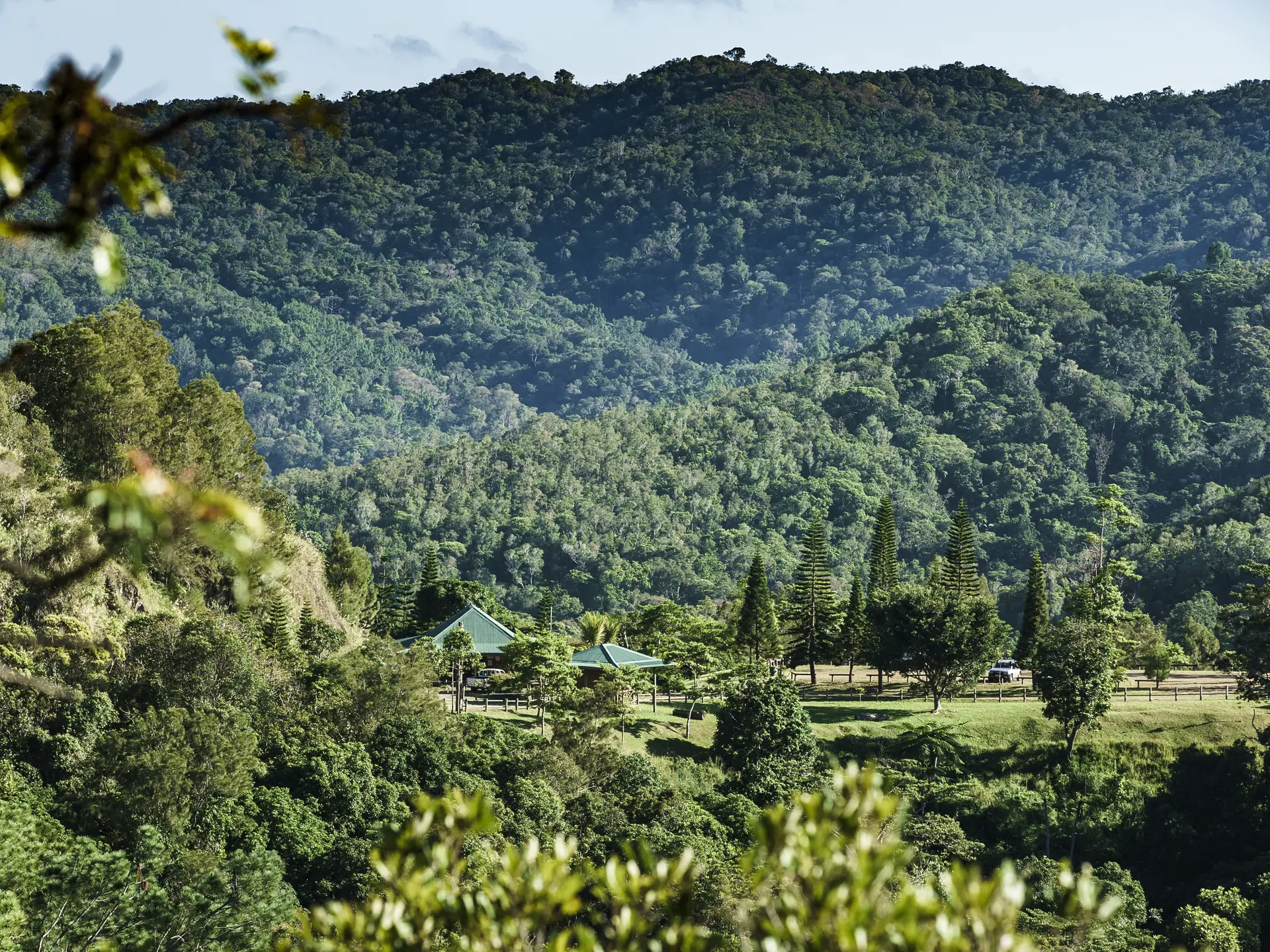 Vue sur le parc