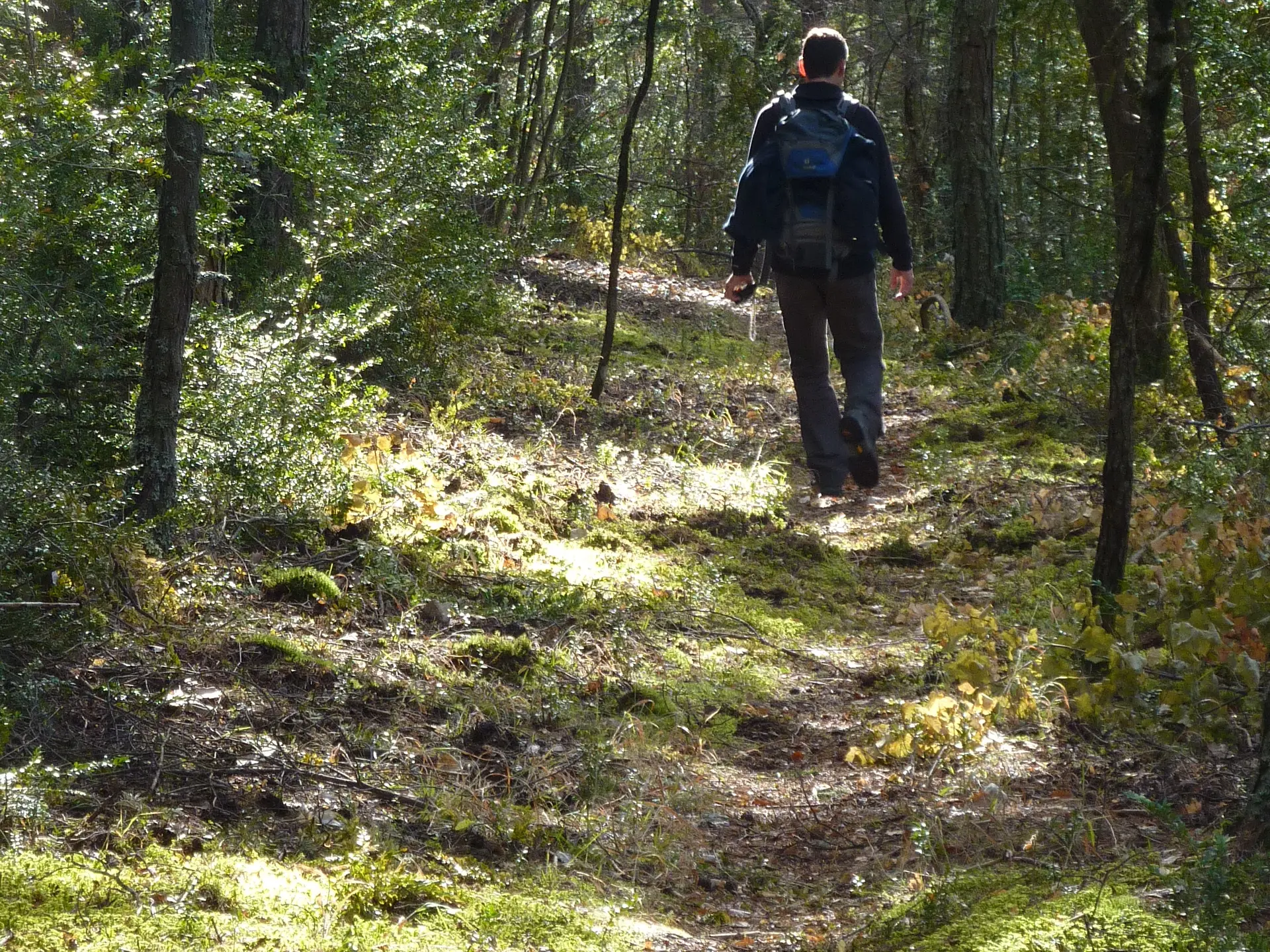 Maurel La Mure Argens