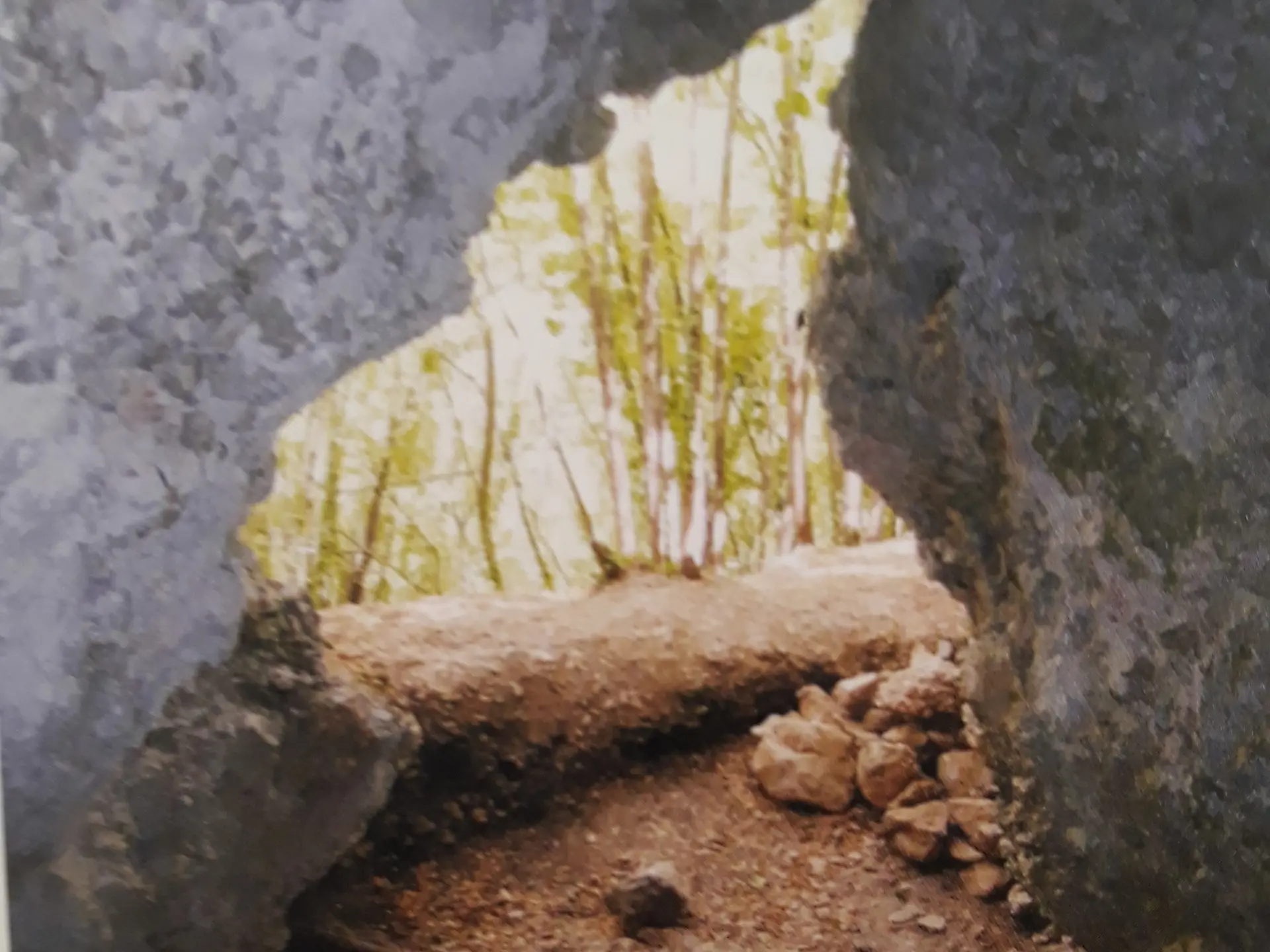 Entrée de la grotte de l'Albaréa