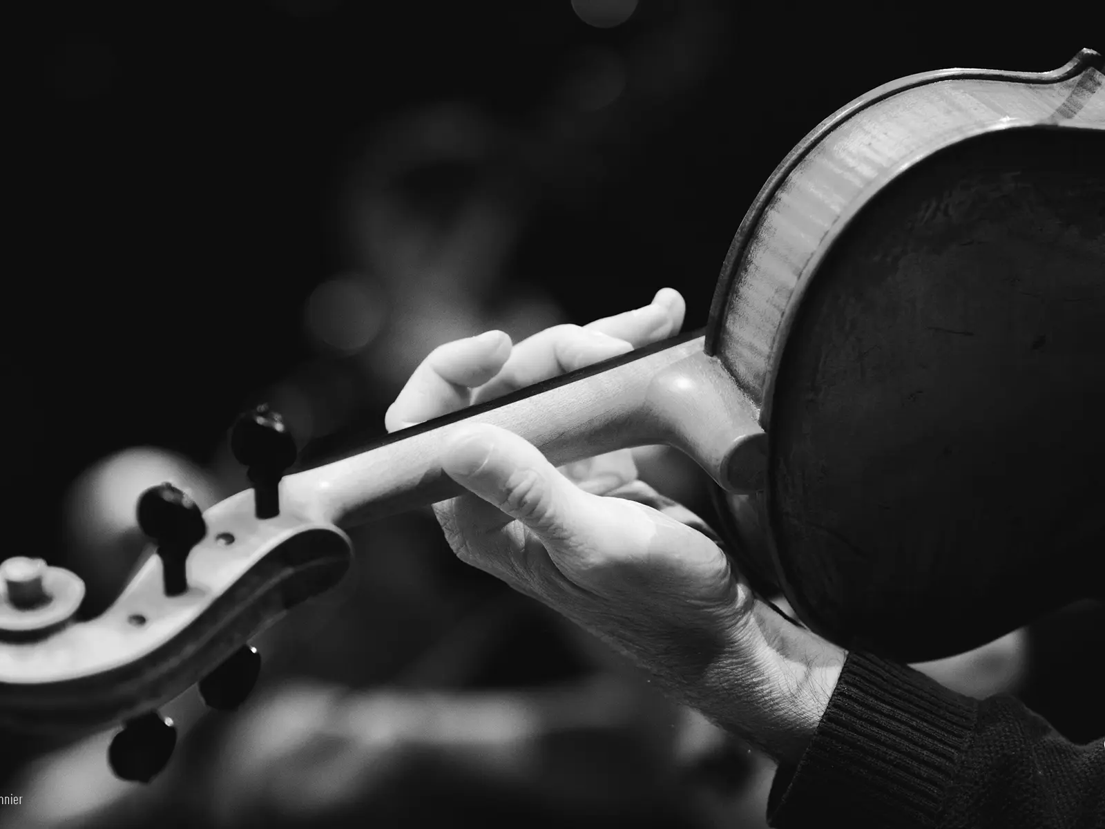 Carte Blanche #5 Ravel au Pays du Soleil Levant_Cannes - La Bocca