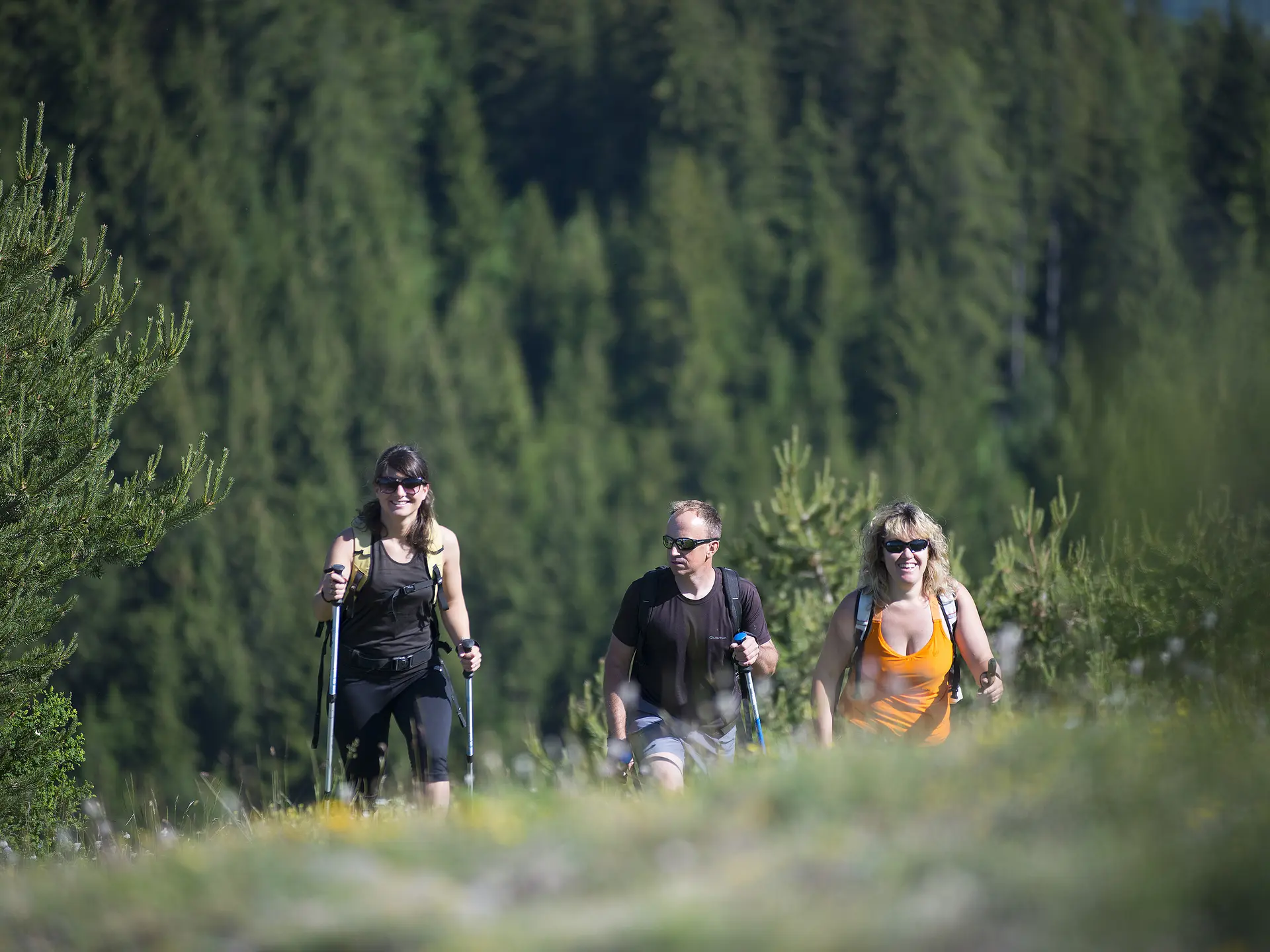 Rando circuit du chateau