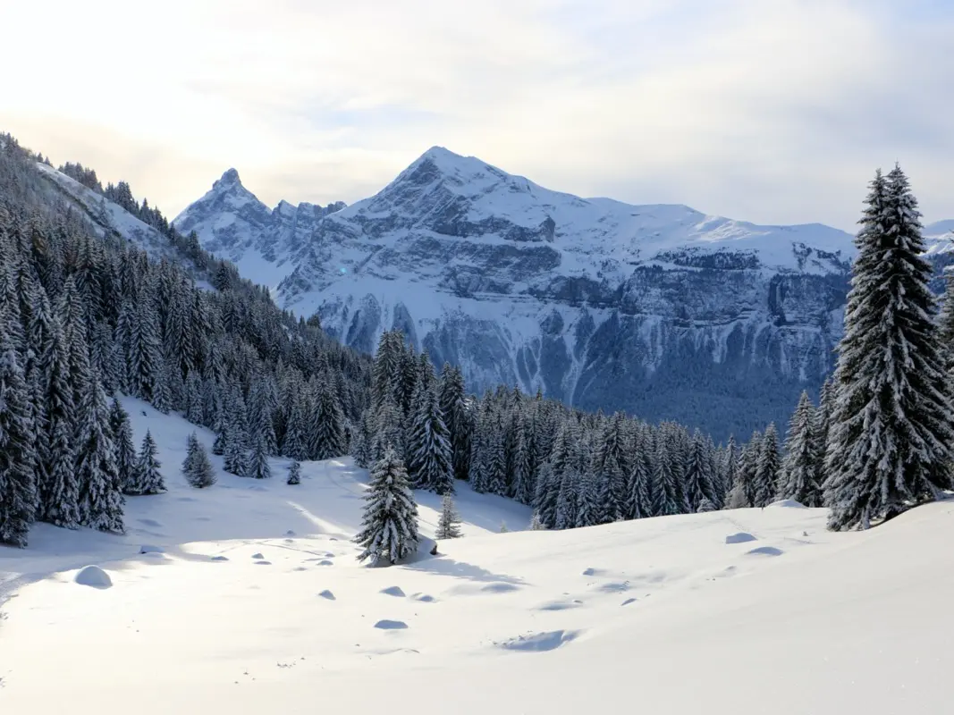 Plaine des Molliets