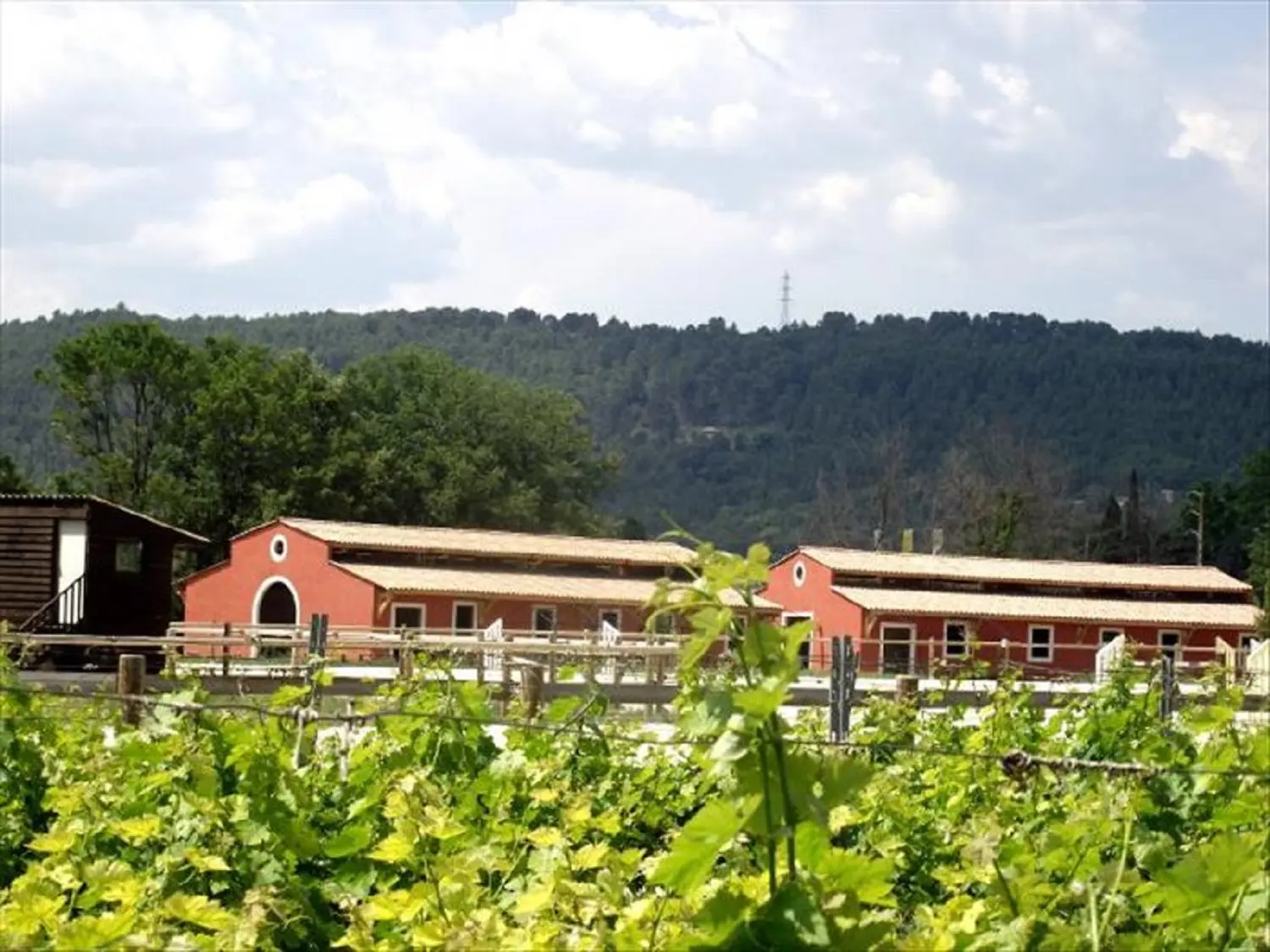 Domaine du Cheval d'Argens