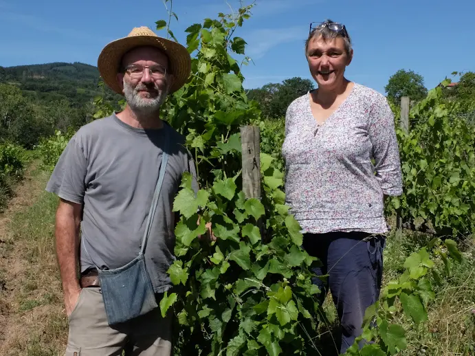 Les vins de Chamaille