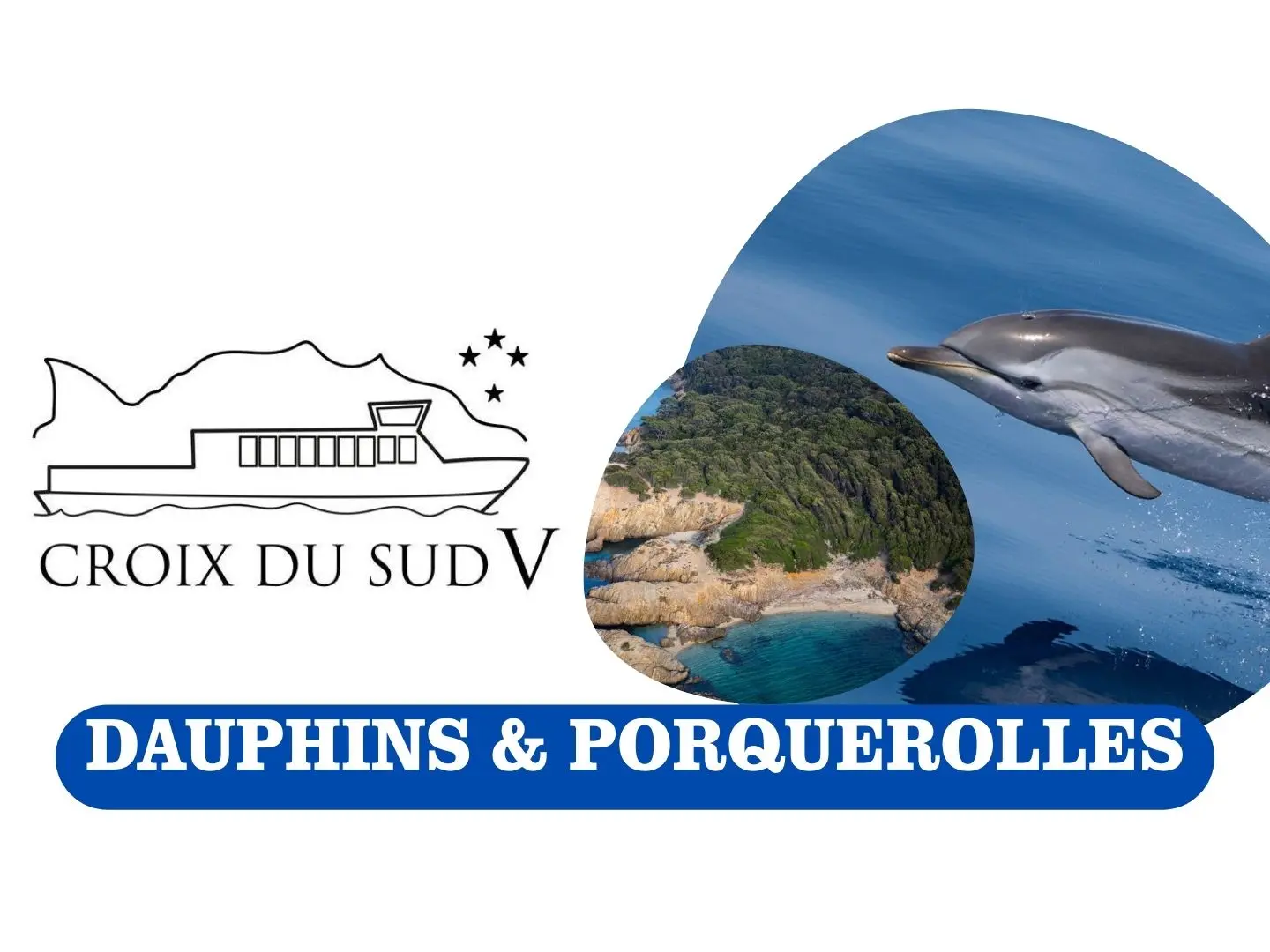 Dauphins et Porquerolles | Croix du Sud V_Sanary-sur-Mer