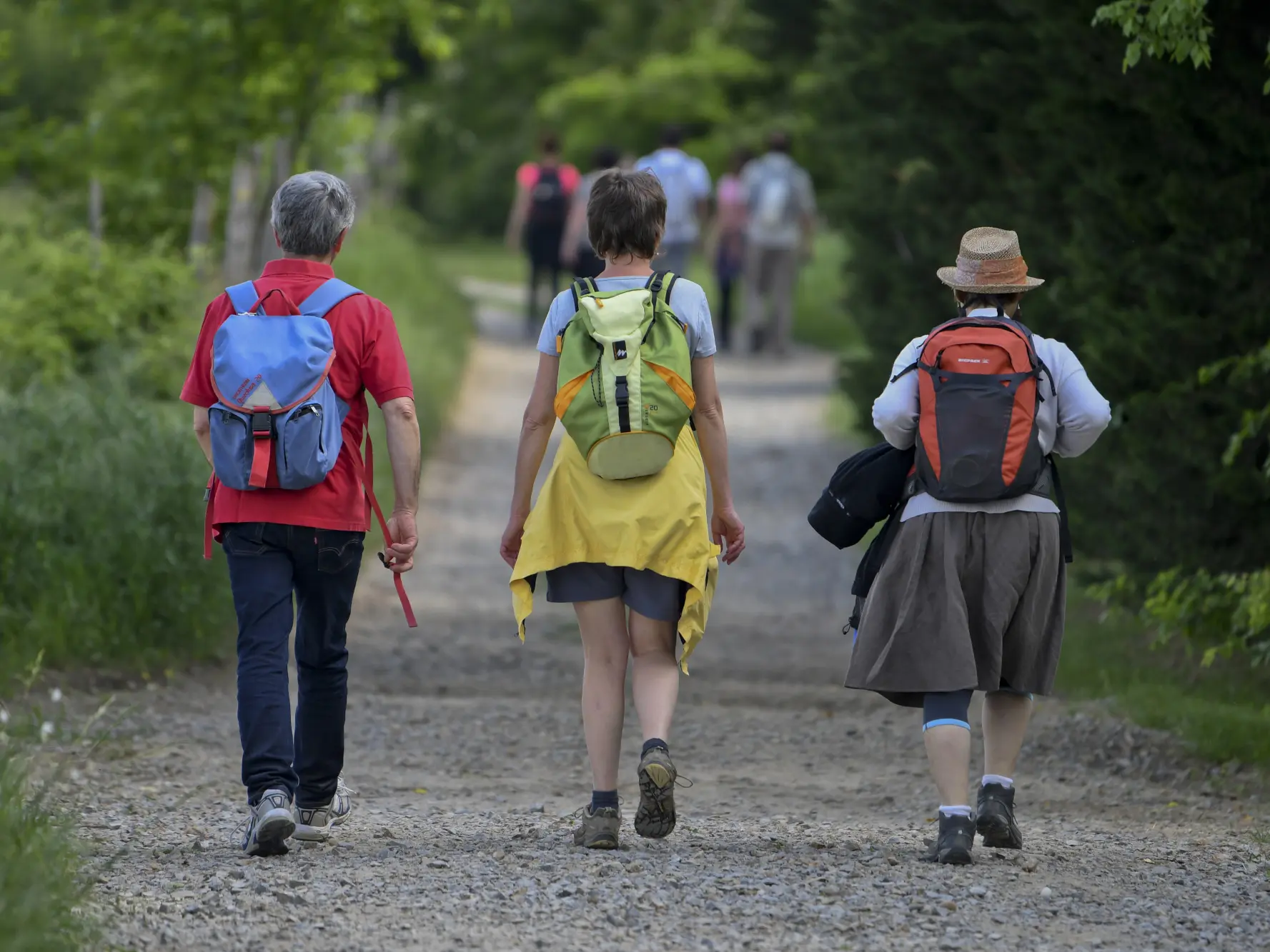 Tour des plateaux - Lens Lestang
