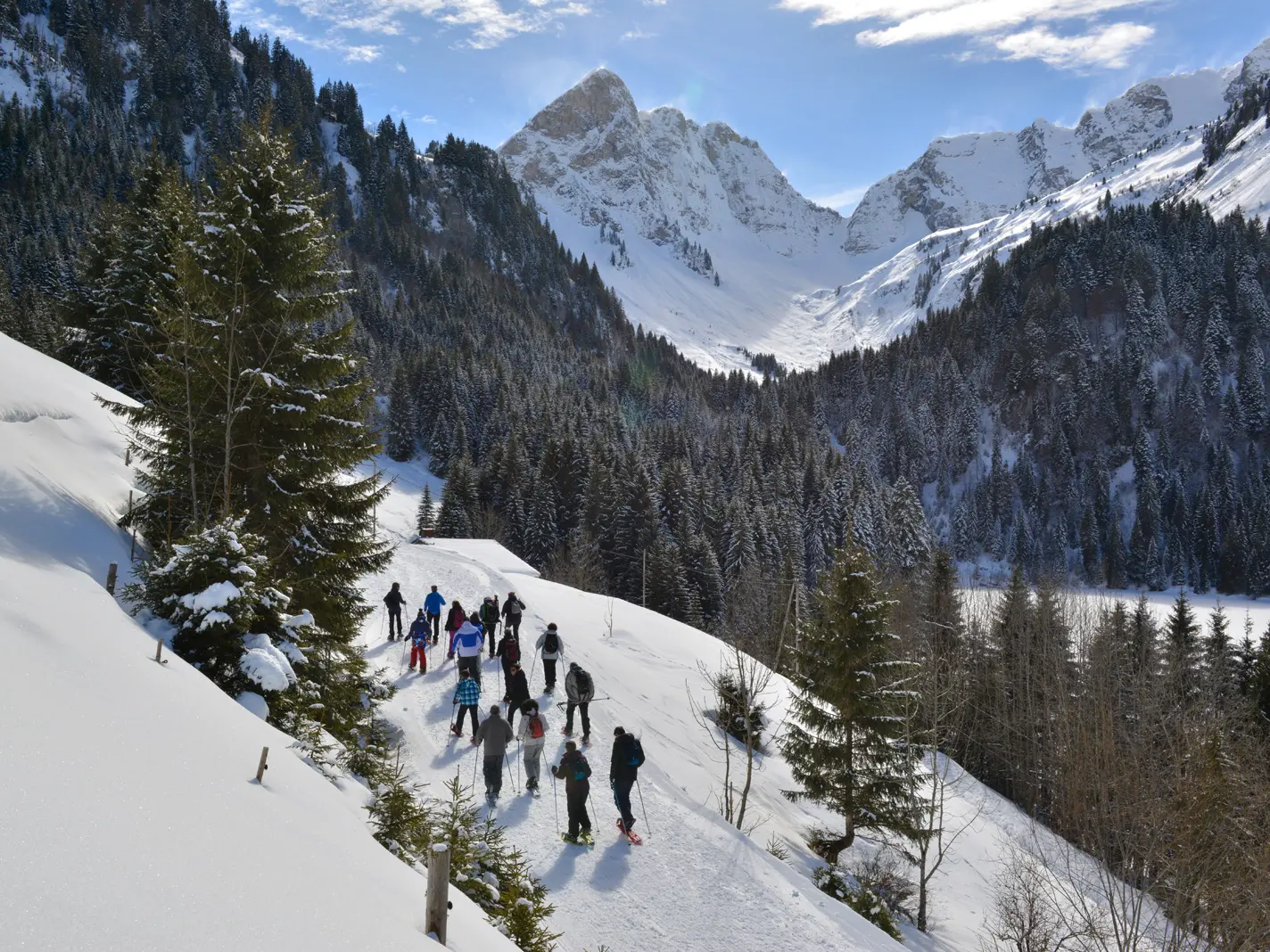 Randonnée avec l'ESF d'Abondance