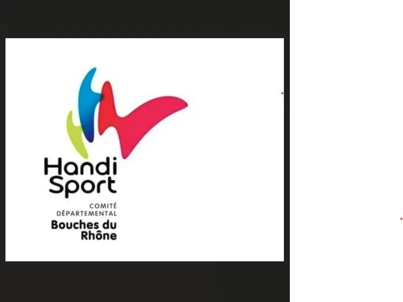 Comité Départemental Handisport