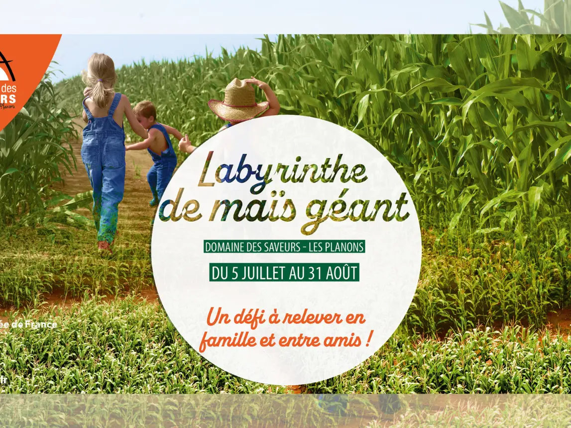 Affiche le Labyrinthe de maïs