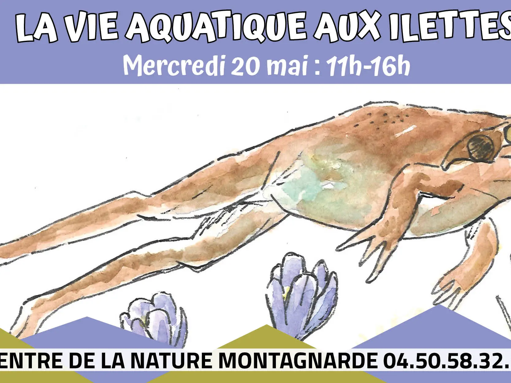 Fréquence grenouille