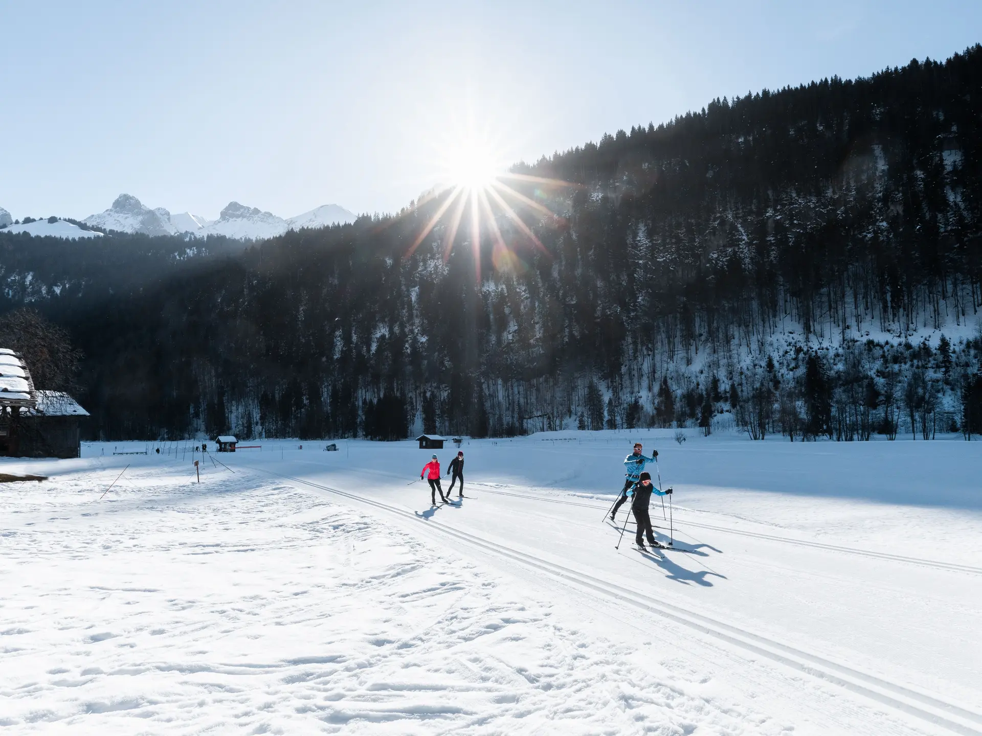 photo de skieurs nordiques sur les pistes