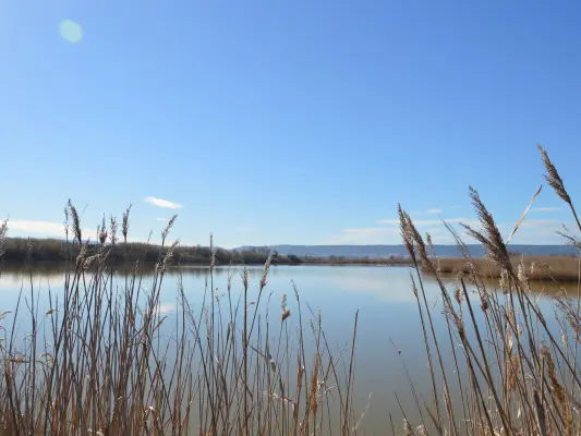 Marignane : Randonnée Nature La Petite Camargue