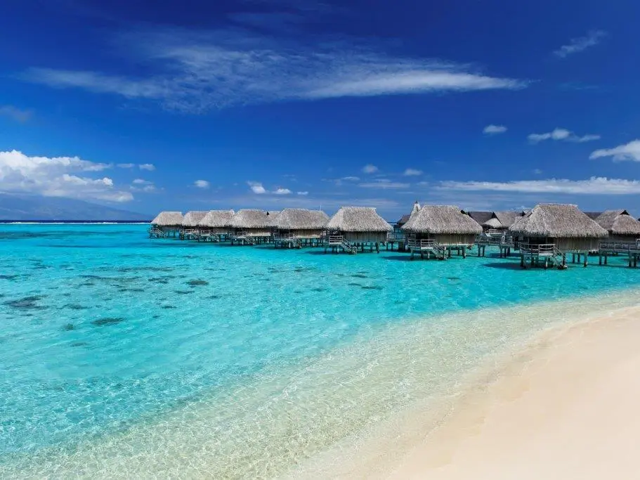 Le Bar Vue - Sofitel Moorea Ia Ora Beach Resort